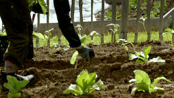 The Mind of a Chef: Season 3: Locality